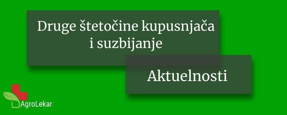 Read more about the article DRUGE ŠTETOČINE KUPUSNJAČA I SUZBIJANJE