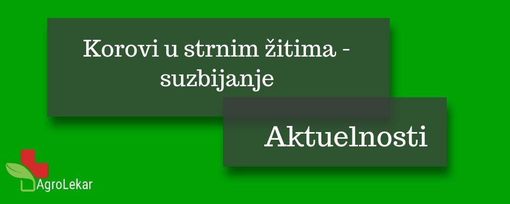 Read more about the article KOROVI U STRNIM ŽITIMA – SUZBIJANJE