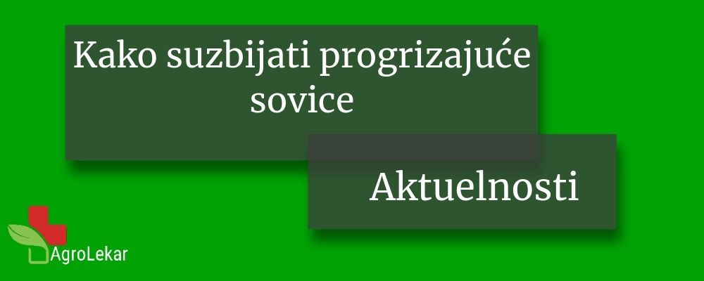 You are currently viewing KAKO SUZBIJATI POGRIZAJUĆE SOVICE (Noctuidae)