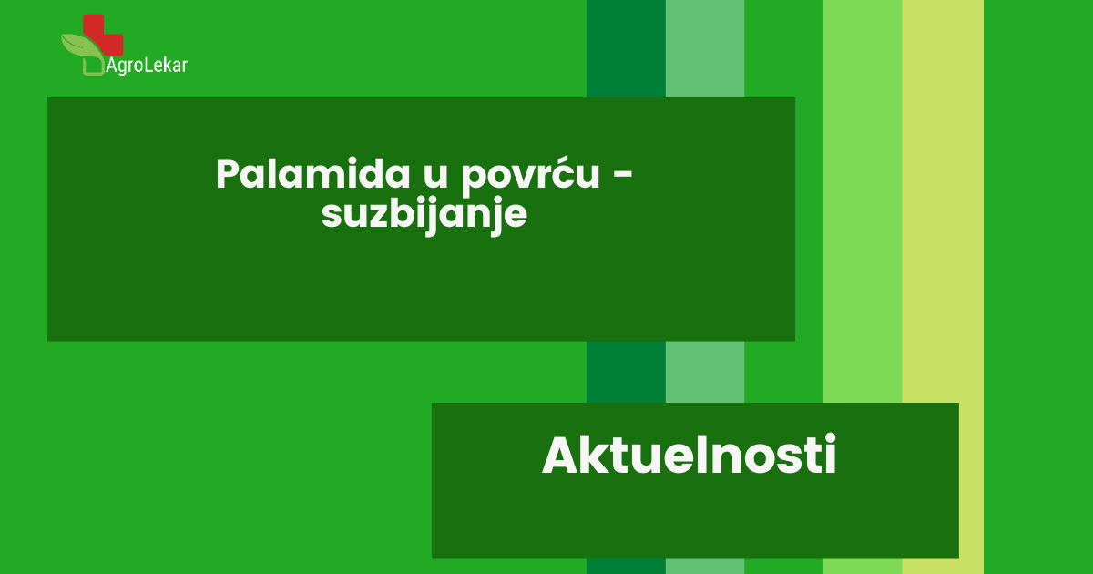 Read more about the article PALAMIDA U POVRĆU – SUZBIJANJE