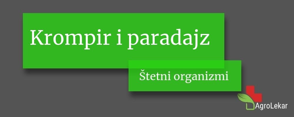Read more about the article Štetni organizmi kod krompira i paradajza